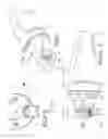 Fig. 09 - Underwater cleaner