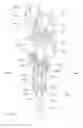 Fig. 10 - Dual activity off-shore drilling rig