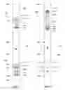 Fig. 02 - Safety system for autonomous downhole tool