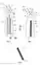 Fig. 03 - Airfoil structure having a shape memory alloy actuator