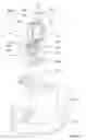 Fig. 07 - Electronic candle