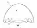 Fig. 07 - Collimating optic for LED illumination assembly having transverse slots on emission surface