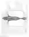 Fig. 06 - Multi-function pressure vessel