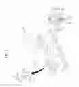 Fig. 06 - Refrigerator