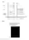 Fig. 04 - OCT apparatus