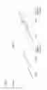 Fig. 07 - OCT apparatus