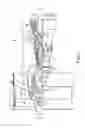 Fig. 02 - Parametric trending architecture concept and design