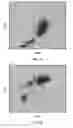Fig. 04 - Basophil analysis system and method