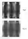 Fig. 08 - Methods for inspecting semiconductor wafers