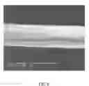 Fig. 09 - Device for single molecule detection