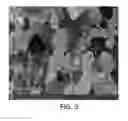 Fig. 04 - Material characterization using ion channeling imaging