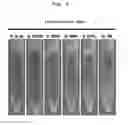 Fig. 04 - Culture medium additive, culture medium composition, and method for culturing cells or tissue using same