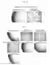 Fig. 07 - Culture medium additive, culture medium composition, and method for culturing cells or tissue using same