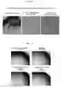 Fig. 08 - Culture medium additive, culture medium composition, and method for culturing cells or tissue using same