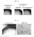 Fig. 09 - Culture medium additive, culture medium composition, and method for culturing cells or tissue using same