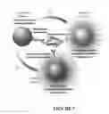 Fig. 08 - Immunological Testing