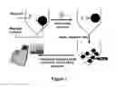 Fig. 02 - Methods, systems, and devices for detecting and identifying microorganisms in microbiological culture samples