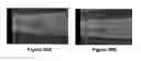 Fig. 49 - Methods, systems, and devices for detecting and identifying microorganisms in microbiological culture samples