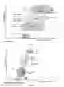 Fig. 02 - Peptides of for a screening test for HIV positive patients at high-risk for tuberculosis