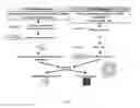 Fig. 02 - Liquid biopsy detection of leukemia using closed-loop microfluidics