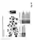 Fig. 04 - Method for identifying marker proteins for the diagnosis and risk stratification of blood coagulation disorders