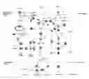 Fig. 02 - Adipocyte-derived exosomes, and compositions, kits, and methods of using the same for detection and screening