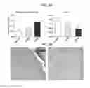 Fig. 05 - Citrullinated proteins: a post-translated modification of myocardial proteins as marker of physiological and pathological disease