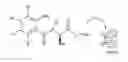Fig. 04 - PATHWAY SPECIFIC ASSAYS FOR PREDICTING IRRITABLE BOWEL SYNDROME DIAGNOSIS