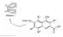 Fig. 05 - PATHWAY SPECIFIC ASSAYS FOR PREDICTING IRRITABLE BOWEL SYNDROME DIAGNOSIS