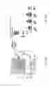 Fig. 17 - PATHWAY SPECIFIC ASSAYS FOR PREDICTING IRRITABLE BOWEL SYNDROME DIAGNOSIS