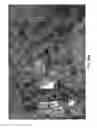 Fig. 32 - Microfluidic flow controller, fluid analysis apparatus, analysis module and methods