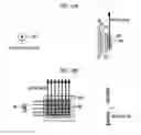 Fig. 08 - Radiographic image capturing apparatus and heat diffusion method