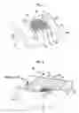 Fig. 04 - Radiographic image capturing apparatus and heat dissipation method