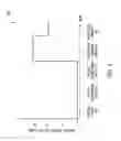 Fig. 04 - Selection of power in power over Ethernet systems