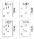 Fig. 05 - SPATIAL, MULTI-MODAL CONTROL DEVICE FOR USE WITH SPATIAL OPERATING SYSTEM