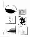 Fig. 08 - Visual graph construction from relational data