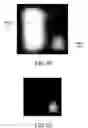 Fig. 07 - IMAGE MANAGEMENT METHOD AND APPARATUS THEREOF