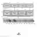 Fig. 09 - Software defined entities for digital service transactions