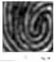 Fig. 04 - Fingerprint sensing using measuring configurations with different principal directions of extensions