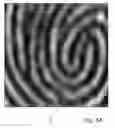 Fig. 09 - Fingerprint sensing using measuring configurations with different principal directions of extensions
