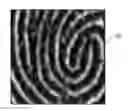 Fig. 01 - Fingerprint sensing with different capacitive configurations