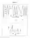 Fig. 11 - Non-transitory computer-readable medium storing information processing program and information processing device
