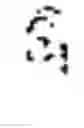 Fig. 06 - Combinatorial shape regression for face alignment in images