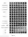 Fig. 22 - Deep multi-scale video prediction