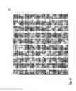 Fig. 07 - Medical pattern classification using non-linear and nonnegative sparse representations