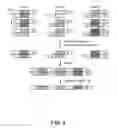 Fig. 09 - Nucleic acid-based data storage