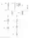 Fig. 06 - Identifying resource allocation discrepancies