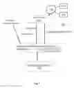 Fig. 02 - SYSTEMS AND METHODS FOR FACILITATING VIRTUAL HEALTHCARE CONSULTATIONS
