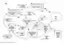 Fig. 01 - Discovery of new business openings using web content analysis