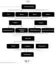 Fig. 03 - System and method for providing reward-driven transaction opportunities within an event
